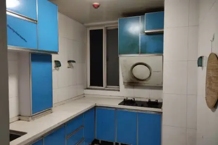 鲁泽观天下 2室1厅1卫南北 精装