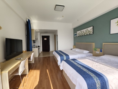 悦湖广场(商住楼) 1室1厅1卫 南 精装