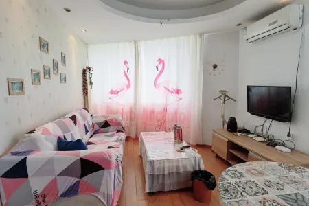 上实达利广场 1室1厅1卫 东南 精装