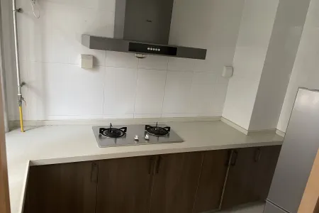 未来智谷人才公寓 3室2厅2卫南北 精装