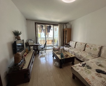 鲁泽观天下 2室2厅1卫 南北 精装