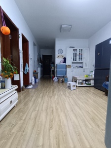 龙湖原山 2室2厅1卫 北 精装