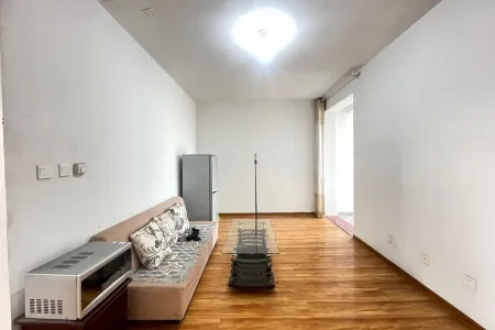 盛华未来城 1室1厅1卫南 精装