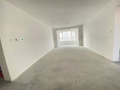 鲁润静园 3室2厅2卫 南北 毛坯