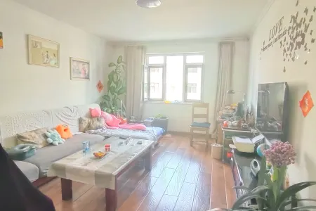 红卫小区 3室2厅1卫 南 精装