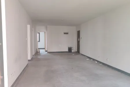 星光岛杜鹃园（一期） 3室2厅2卫南 毛坯