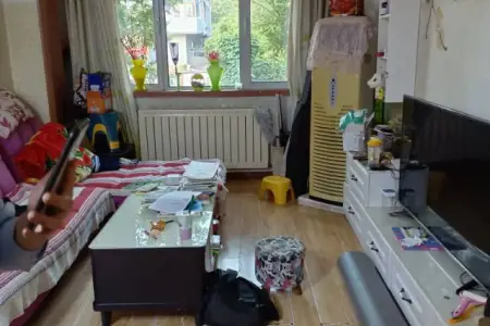 德龙崇明岛小区 3室1厅1卫南 中装