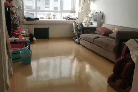 天玺乐城 2室1厅1卫南北 精装