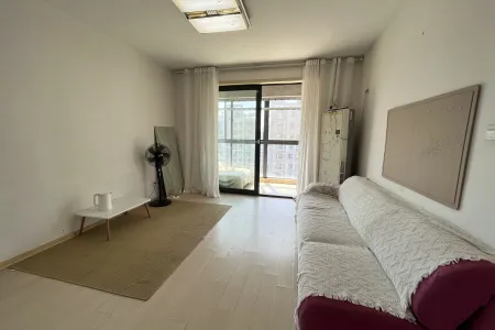 豪华装修,拎包入住,真正的地铁楼盘,升值空间无限