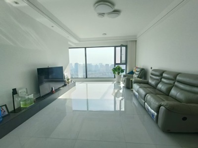 中海·半山雲镜