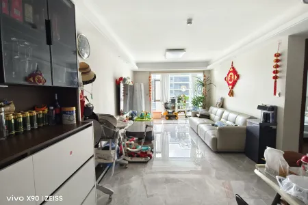 宸悦府 3室2厅1卫 南 精装