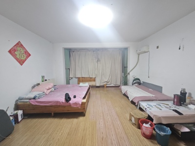 德龙崇明岛小区 1室0厅1卫 南 中装