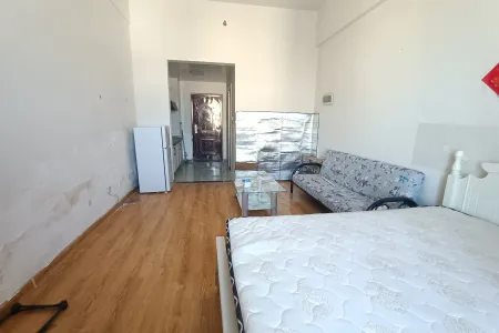 东升家园 1室1厅1卫 北 精装