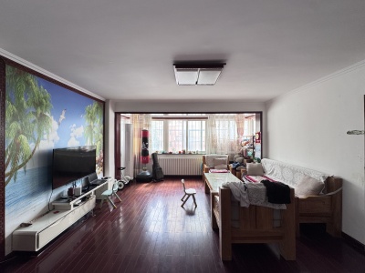 逍遥新居 3室1厅1卫 南北 精装