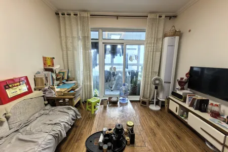 龙湖原山 2室2厅1卫 南北 精装