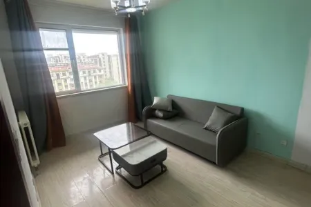 蜊叉泊 1房1厅1卫 南 精装