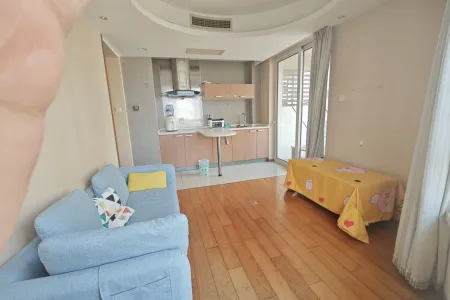 上实达利广场 1室1厅1卫南北 精装