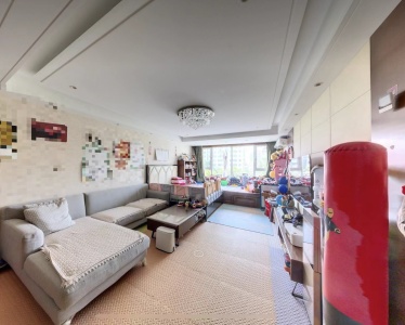 鲁润静园 1室2厅1卫 南北 豪装