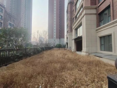 江山艺境