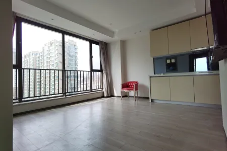 瑞源名嘉国际 1室1厅1卫 西 精装