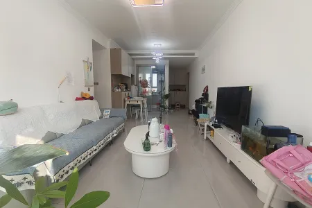 全明户型,黄金楼层,阳光好,地铁口,交通便利,设施齐全