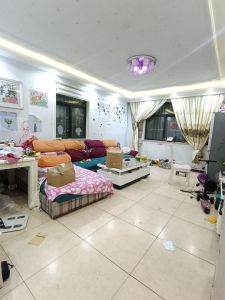 柳苑小区 2室2厅1卫南北 简装