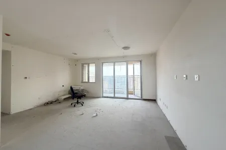 辛安府 3房2厅2卫 南 毛坯