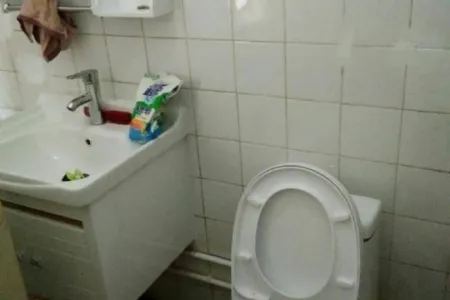 电厂南宿舍 2室1厅1卫 南 中装