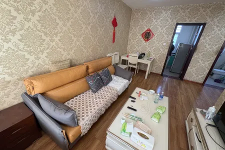 崮上村 1室1厅1卫 南北 精装