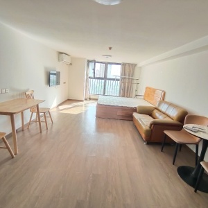 奥园翰林名苑商住楼 2室2厅1卫 南 精装