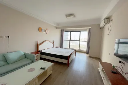 梦时代广场 1室1厅1卫 南北 精装