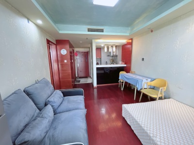 上实达利广场 1室1厅1卫 南 精装