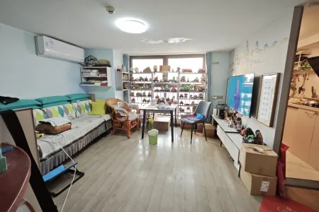 奥园翰林名苑商住楼 2室2厅2卫 南 精装