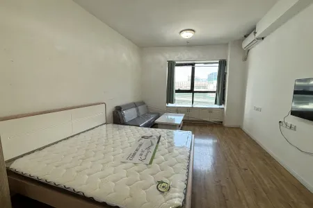 梦时代广场 1室1厅0卫 南 精装