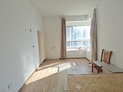 鲁商蓝岸国际北区