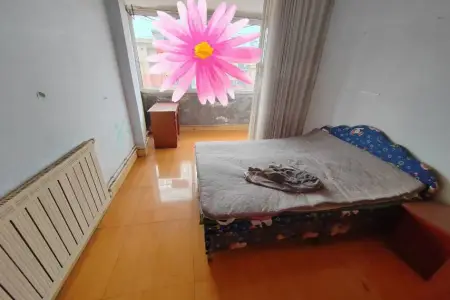 黄岛国货 2房1厅1卫 南北 中装