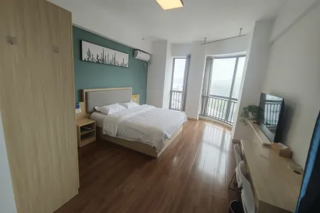 悦湖广场(商住楼) 1房1厅1卫 东南 精装