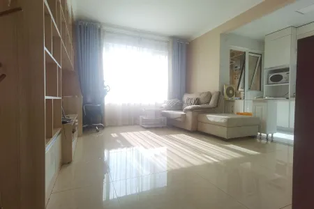 康大凤凰国际 1室1厅1卫 南 精装