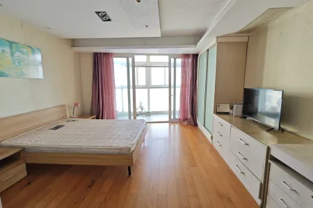 上实达利广场 1室1厅1卫 东北 精装