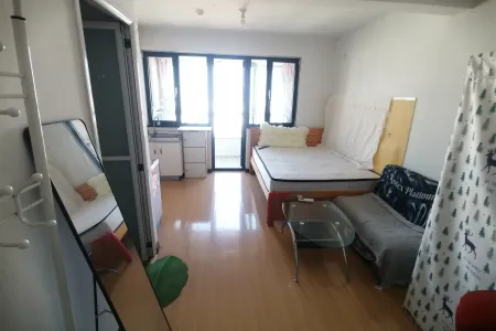 贵府花园 1室1厅1卫 北 精装