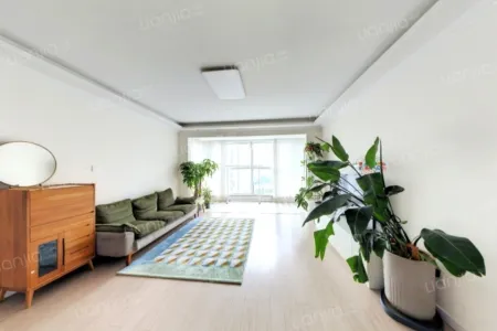 星光岛玫瑰园（二期） 3室2厅2卫 南北 精装