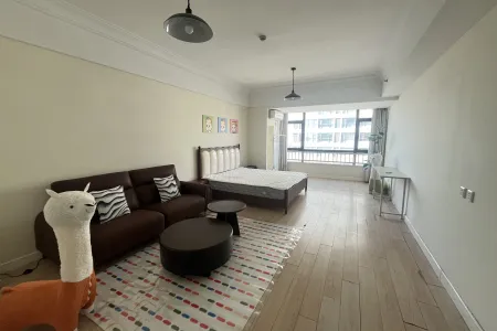 融创公馆C 1房1厅1卫 东 精装