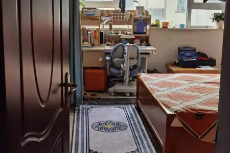 崮上村 1室1厅1卫南 简装