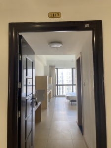 悦湖广场(商住楼)