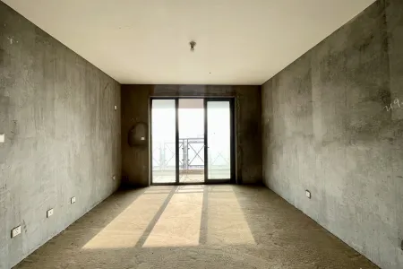 津盘凤凰都 2房2厅1卫 南北 毛坯