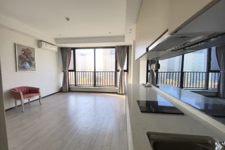 瑞源名嘉国际 1室1厅1卫 东 精装