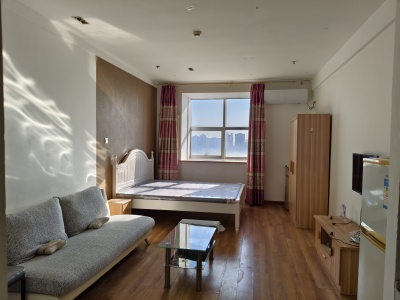 盛世香江公馆 1室1厅1卫 南 精装