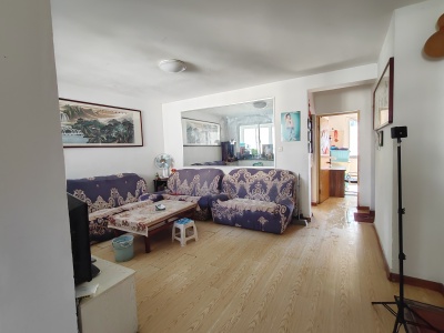 薛家泊子社区 2室2厅1卫 南 中装