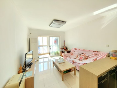 中海银海一号 2室2厅1卫 南 精装