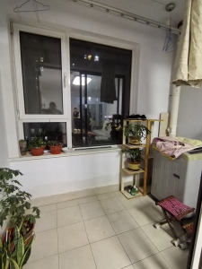 大泊子社区（西区）